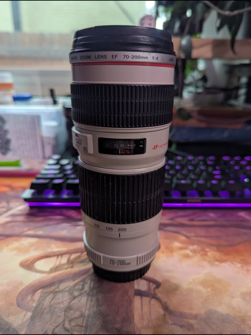 Canon 70-200mm Telephoto Zoom Lens — JAPANESE GLASS